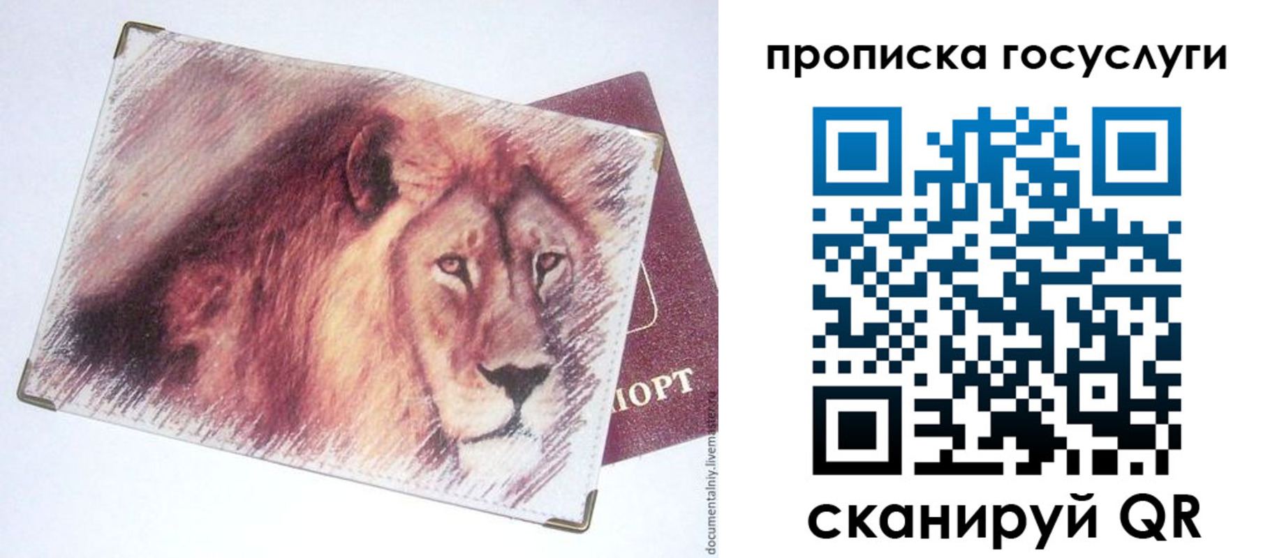 прописка для работы в Ставрополе